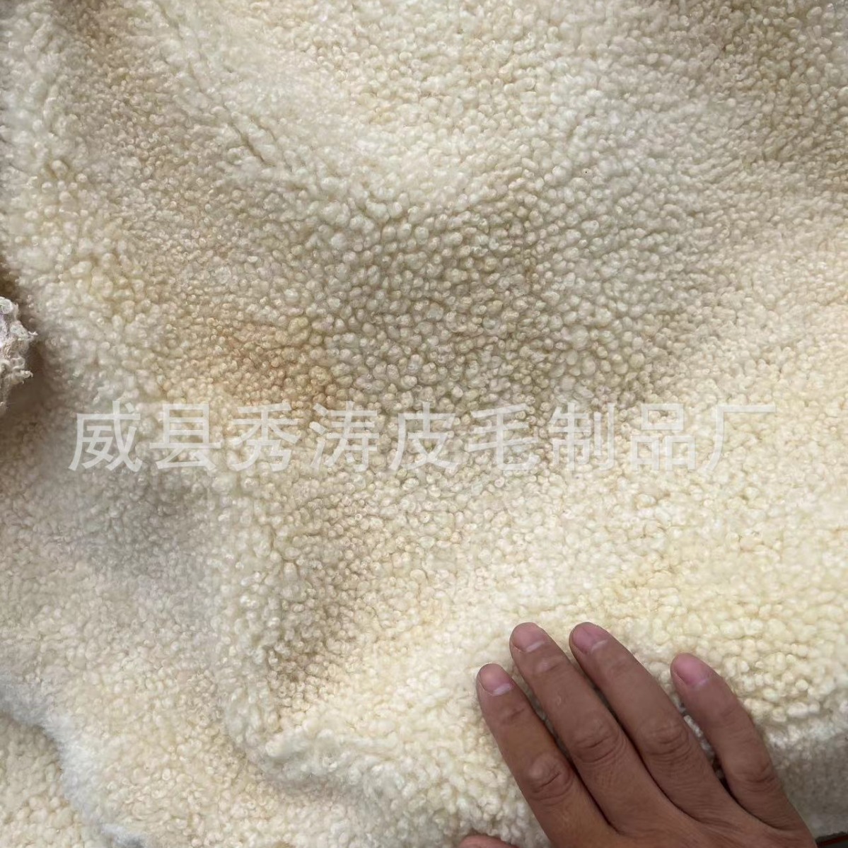 Lamb Wool Sheepskin Genuine Leather Products Xizang Robe Clothing Shoes Sheep Shearling Collar Rolled Flower Sheepskin Fur One-Piece