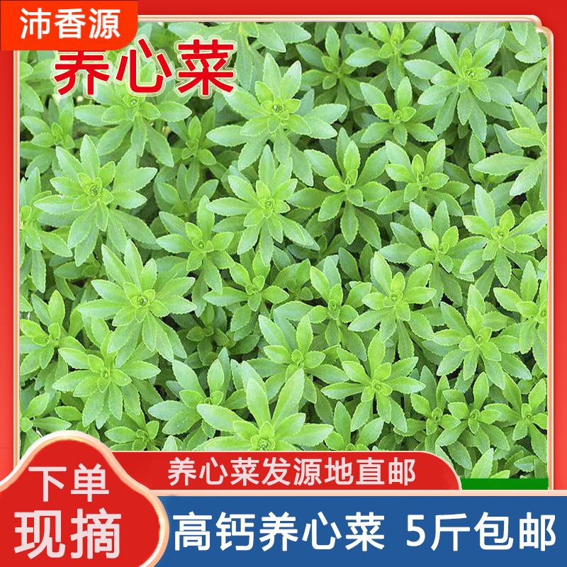 Овощи с высоким содержанием витаминов, сохраняющие здоровье. Кальцийсодержащие овощи, которые можно вырастить и продать. Здоровые свежие саженцы. Бесплатная доставка круглый год