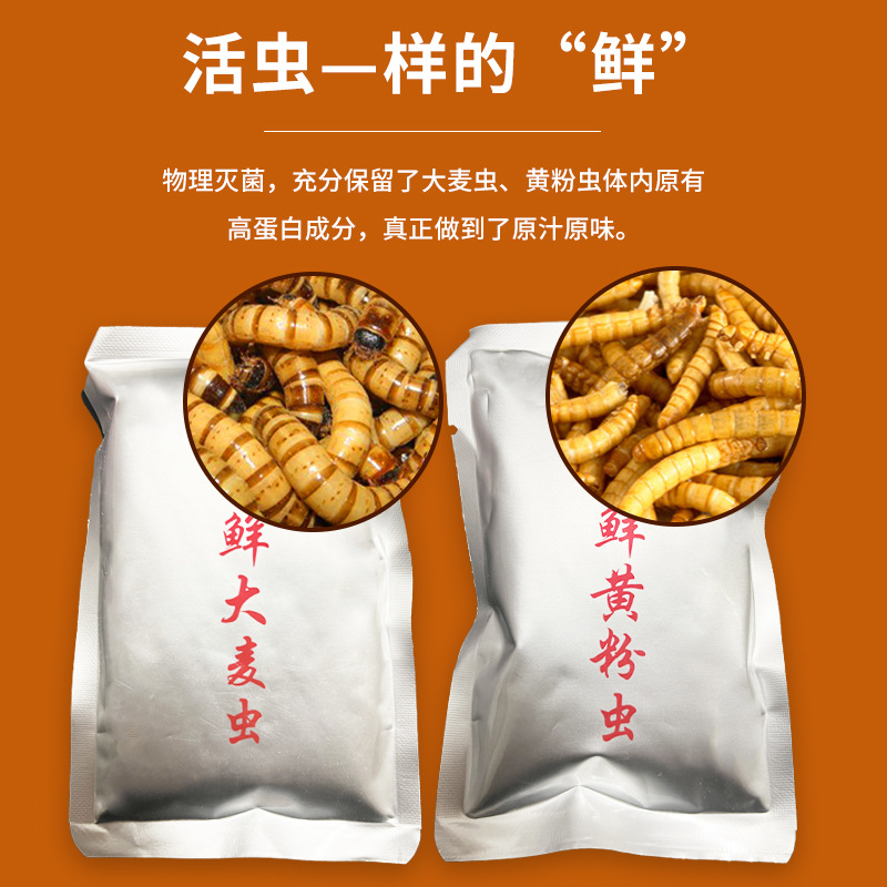 Tropical fish food preservation bread worm turtle rohan fish ornamental fish general thunder dragon nutrition barley worm factory wholesale