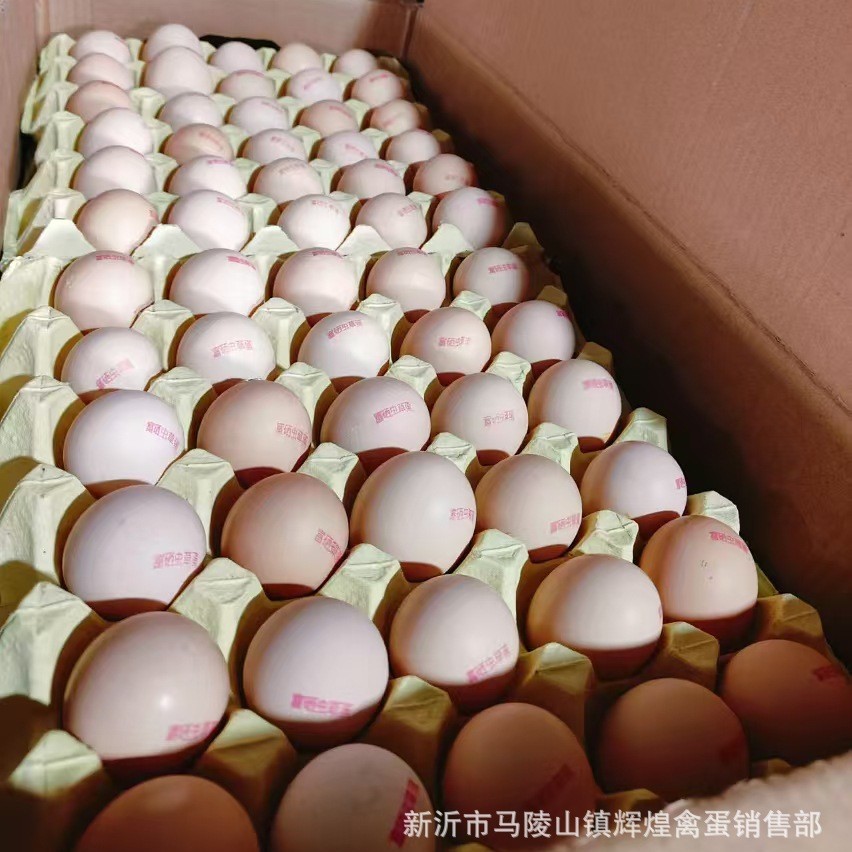 Wholesale Fresh Cordyceps Eggs, Selenium-Rich, Anti-Biotic-Free Eggs, Native Eggs, Stupid Eggs, Grass Eggs, Inkjet Printing