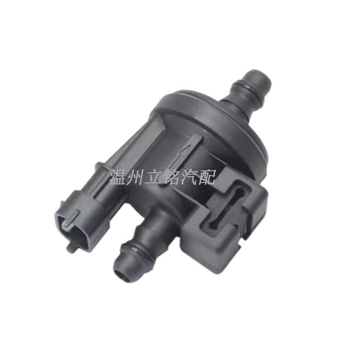 Carbon Canister Solenoid Valve 0280142517    C1B1-9G866-Aa Is Suitable for Ford Focus