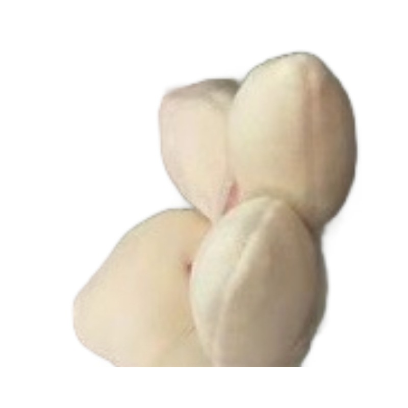 Internet Celebrity Fun Bouquet Tulip Potted Plush Toy Doll Bouquet Girl Graduation Gift Doll