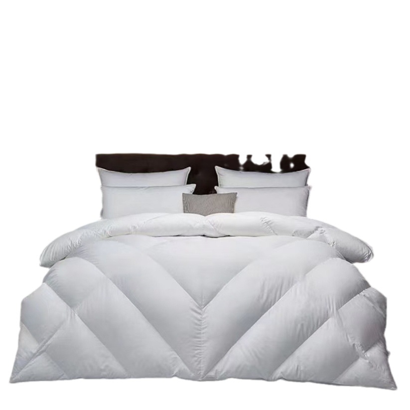Langsha Van Ke Hotel Quilt Feather Velvet Quilt Double Spring Autumn Winter Thickened Quilt Core Gift Wholesale Company Group Purchase