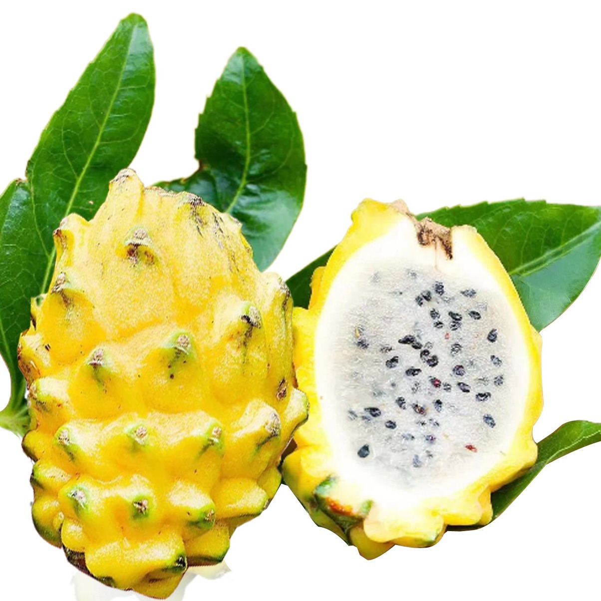 Bird's Nest Fruit, Kiwi Fruit, Boxed Edible Fruit, Non-Lychee Fruit, Direct Delivery from the Place of Origin, Gift Box, Free Shipping, Sf Express, Tropical and Sweet