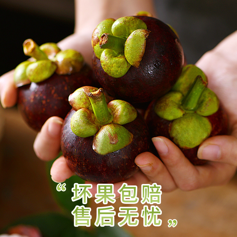 Fresh Thai Mangosteen Large Fruit Whole Box Seasonal Sf Express Free Shipping Seasonal Large Fruit Oil Mangosteen Raffia Bamboo 6A
