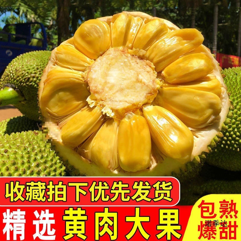 Spot Seasonal Hainan Sanya Jackfruit Fresh Fruit Yellow Flesh Jackfruit Fake Durian One Whole Free Shipping Red