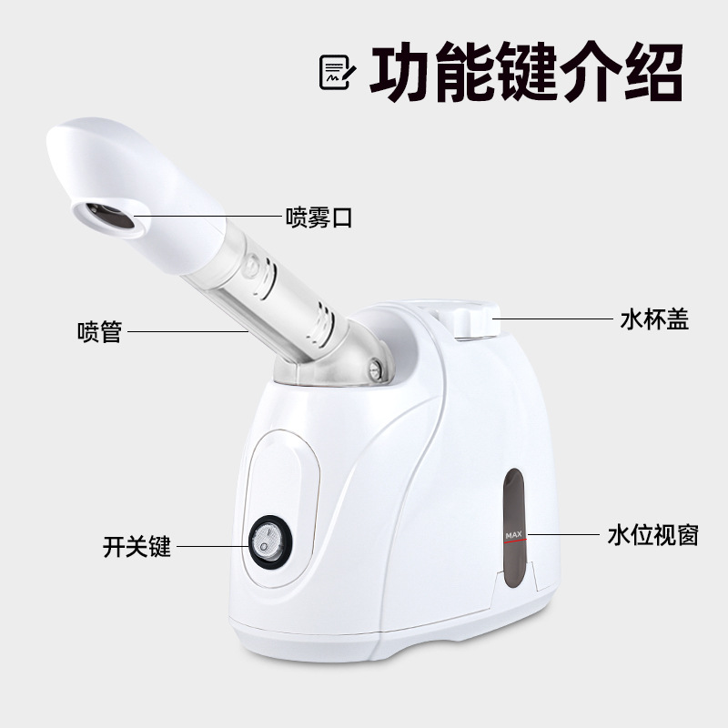 Golden Rice Hot Spray Facial Steamer, Professional Facial Steamer, Beauty Instrument, Hydration Instrument, Chinese Herbal Steamer, Beauty Salon Sprayer