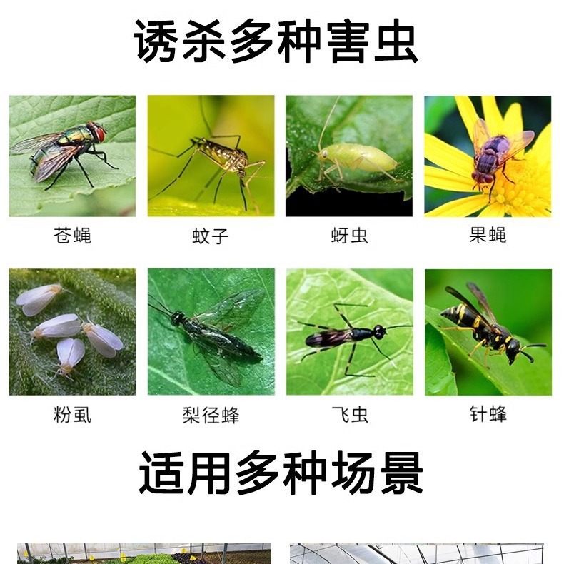 Factory direct double-sided sticky insect board trap board yellow board blue board coated factory wholesale greenhouse tea garden orchard greenhouse