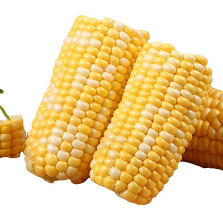Fruit Corn Yellow Sweet Fruit Corn 10kg Vegetables Fresh Pick Sweet Corn Pregnant Women Super Sweet Instant Corn Generation
