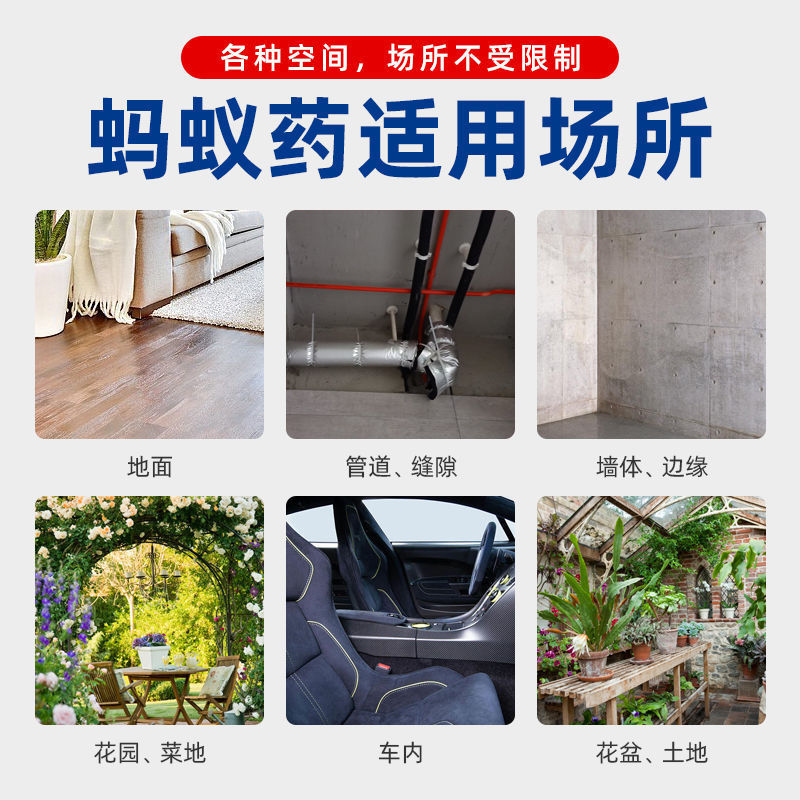 Ant Medicine Ant-killing Clear Anti-ant Powder Serial Ant-killing Bait Household Indoor and Outdoor Kitchen Wholesale Generation 5g