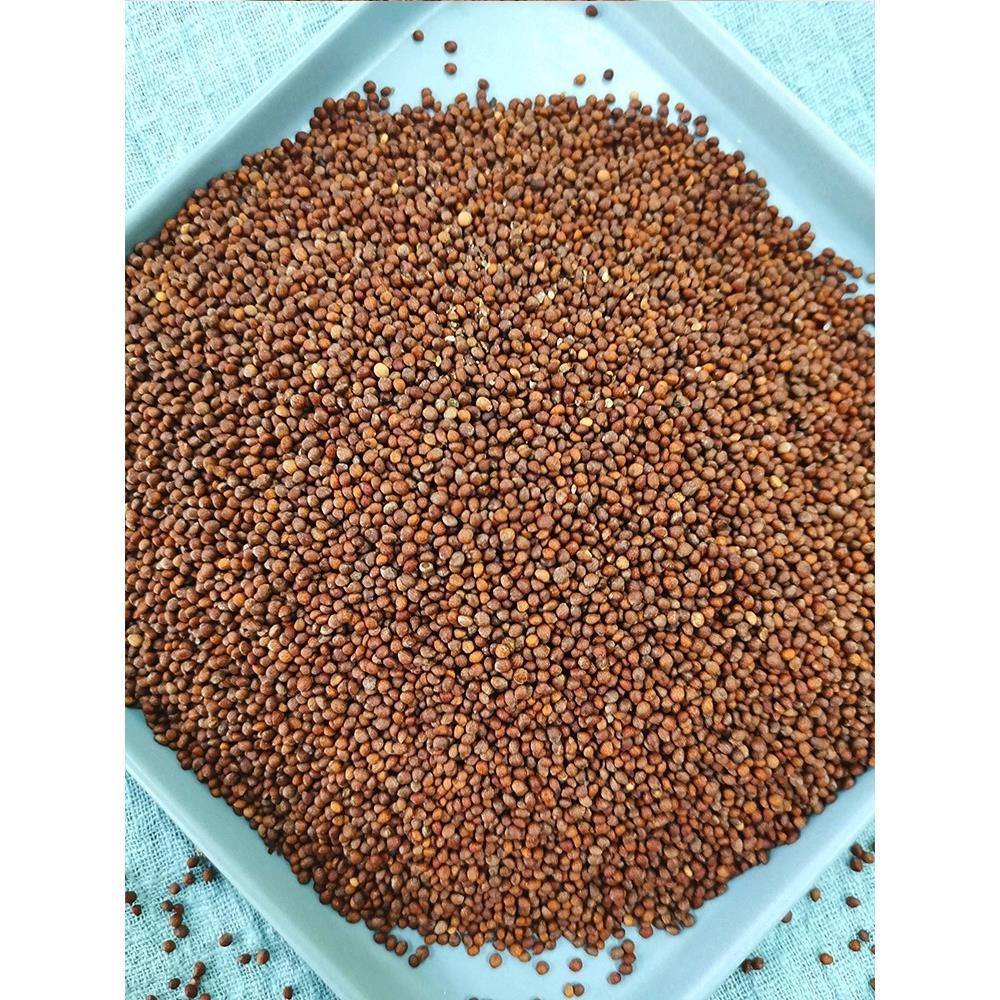 Cooked Perilla Seeds 500g New Roasted Perilla Seeds Edible Fried Perilla Seeds Moon Cake Fillings Barbecue Barbecue Seasoning