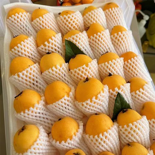Yunnan Mengzi Loquat Fresh Net Weight for Pregnant Women, Seasonal Large Fruit, Freshly Picked and Grown Fruit, Free Shipping