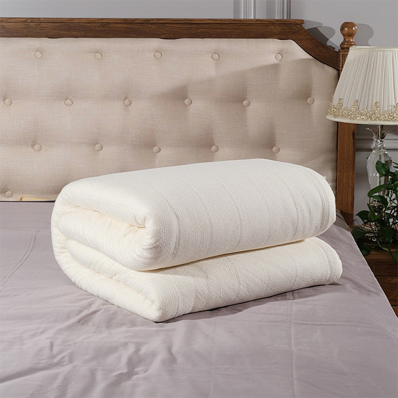 Manufacturer Customized Cotton Quilt Thickeneded Four-Season Quilt Dormitory Mattress Cotton Quilt Autumn and Winter Warm Quilt Core