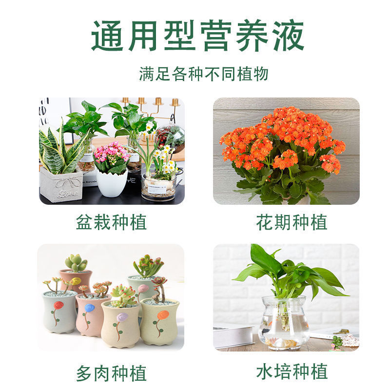 Plant Nutrient Solution, Universal Flower and Green Plant Liquid Fertilizer, Hydroponic Foliar Fertilizer, Rich Bamboo Bagged Nutrient Solution