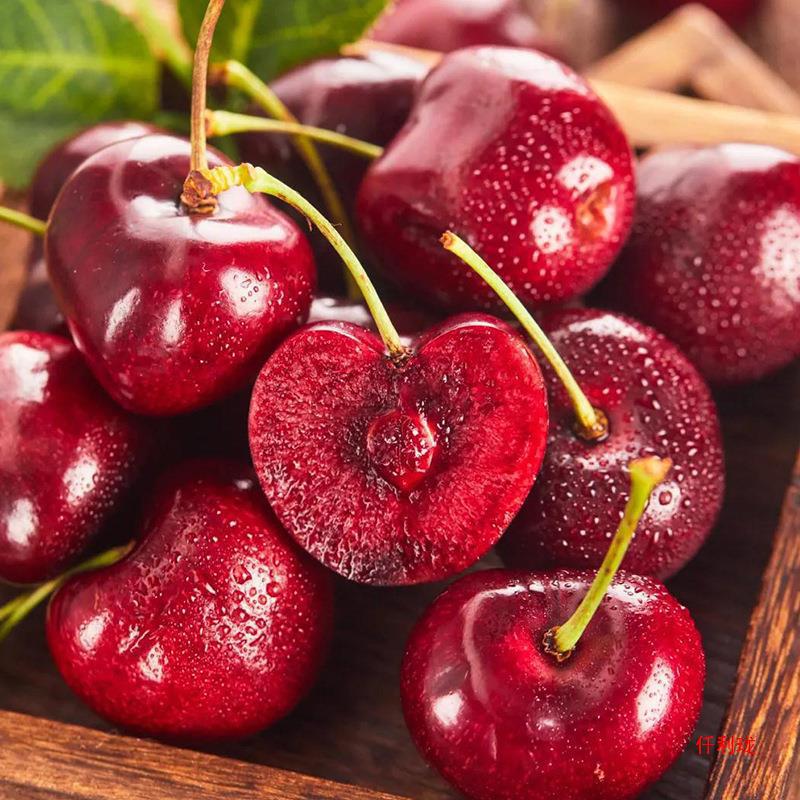 Chile cherries 2.50kg gift box j jjj big 3j fresh fruit postage whole box
