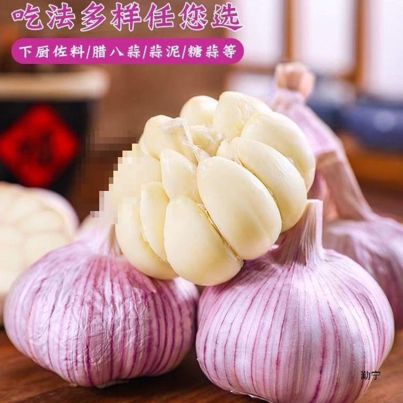 Fresh Garlic with Red Skin, Large Dried Purple Skin, Reduced Price, Shandong Garlic Head带头 Wholesale Jinxiang