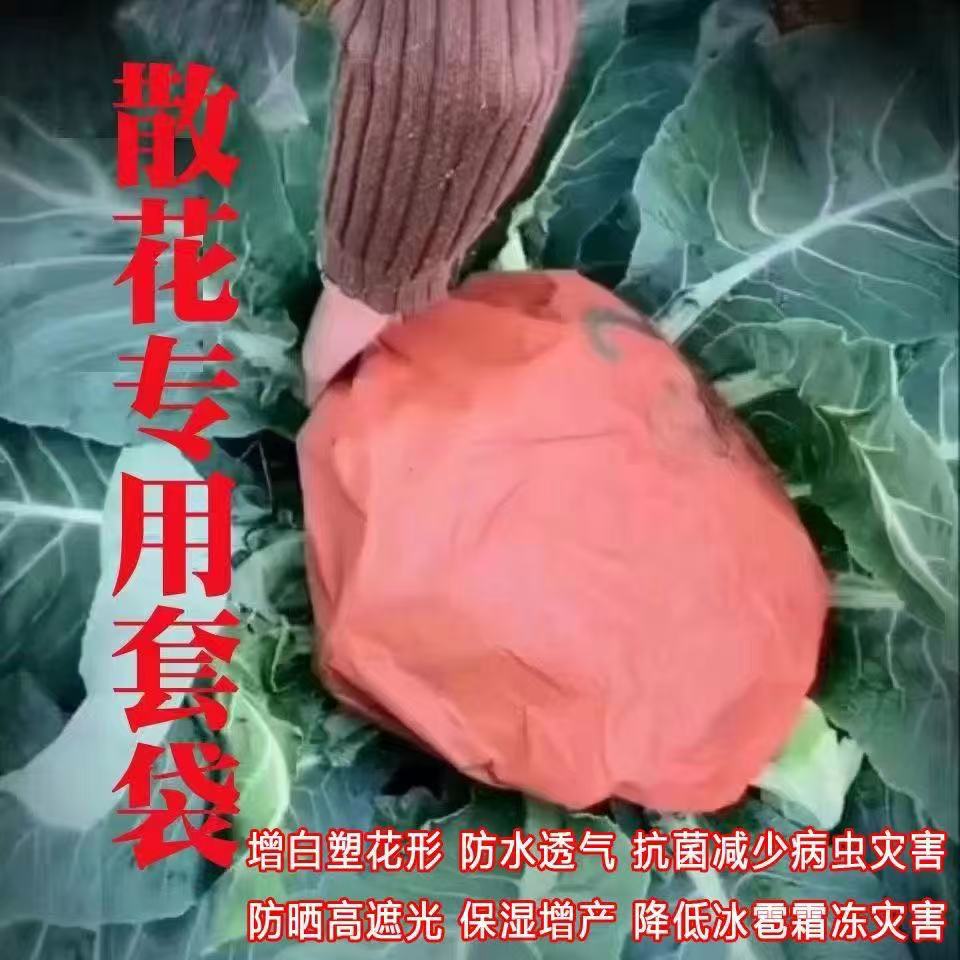 Songhua Bags Loose Flower Anti-Insect Bag Organic Cauliflower Protective Cover Waterproof Sun Protection Anti-Frost White Cauliflower Bags