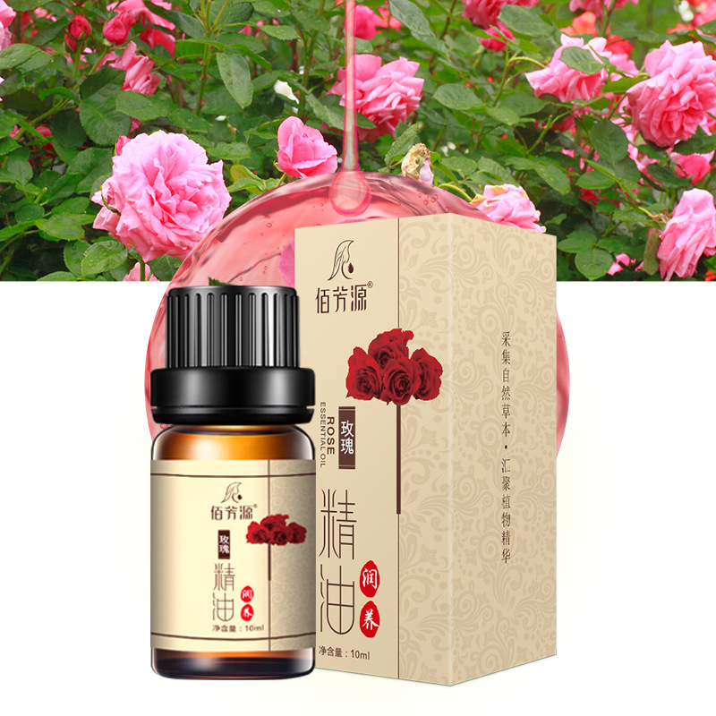Mugwort Essential Oil Beauty Salon Skin Care Body Massage Spa Plant Ginger Rose Lavender Essential Oil Factory Wholesale