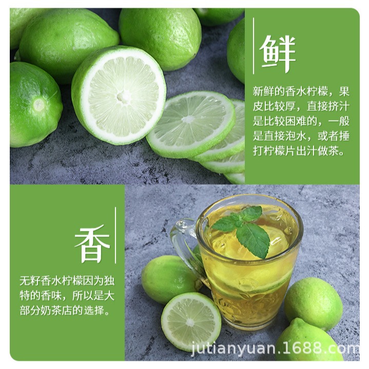 Guangdong Perfume Lemon Freshly Picked Lemon Milk Tea Shop Special First-Class Green Lemon Seasonal Wholesale Free Shipping Whole Box