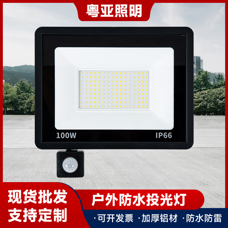 Маленький Apple индукционный фонарь 10W 50W 100W полный мощный светодиодный садовый фонарь оптовая продажа уличный водонепроницаемый фонарь