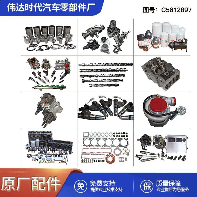 D5010412956 DCII1 engine belt tensioner D5010412956