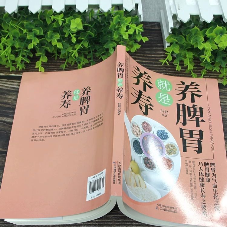 Nourishing spleen and stomach means nourishing longevity traditional Chinese medicine health care daily spleen and stomach conditioning adult children's diet should avoid Four Seasons Health Care