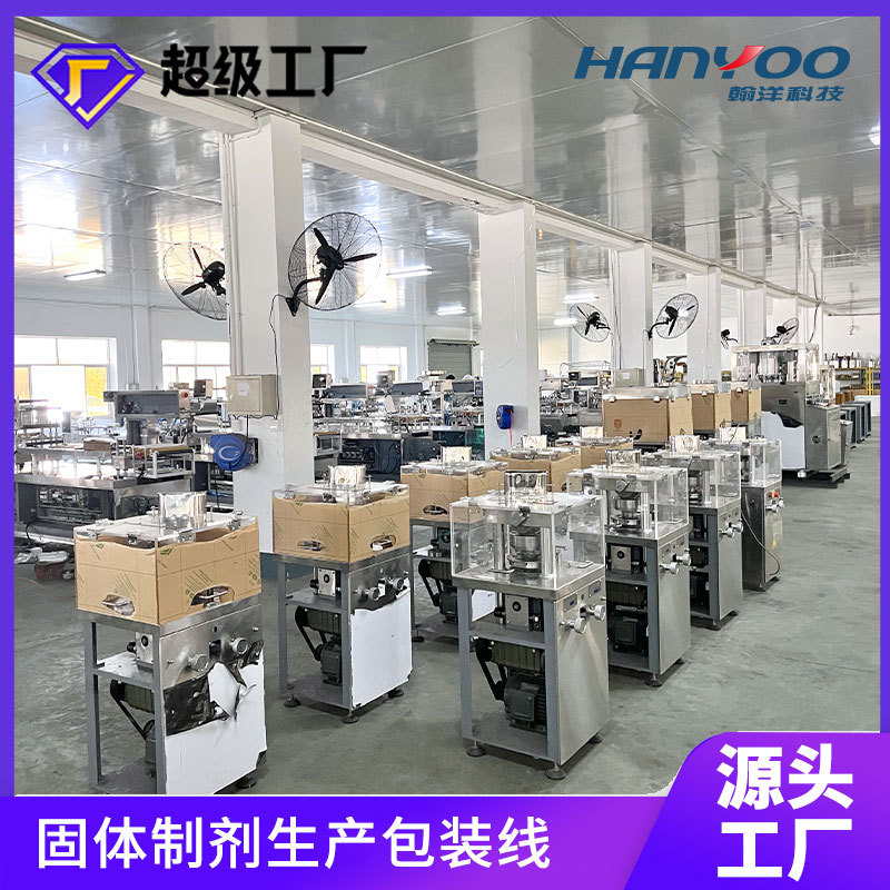 Jiangsu Hanyang Traditional Chinese Medicine Tablet Rotary Tablet Press Candy Fully Automatic Tablet Press Powder Tablet Press