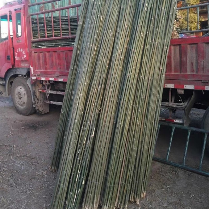 Spot large bamboo vegetable garden rack fine bamboo pole flagpole garden decoration decoration thick bamboo pole wholesale bamboo fence