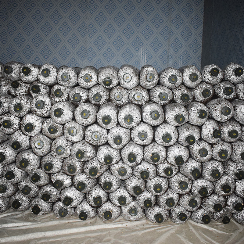 Grass Mushroom Spawn Seeds Are Supplied All Year Round, Producing Mushrooms Evenly. We Have Our Own Farms and Also Use Industrialized Edible Fungi Cultivation Indoors