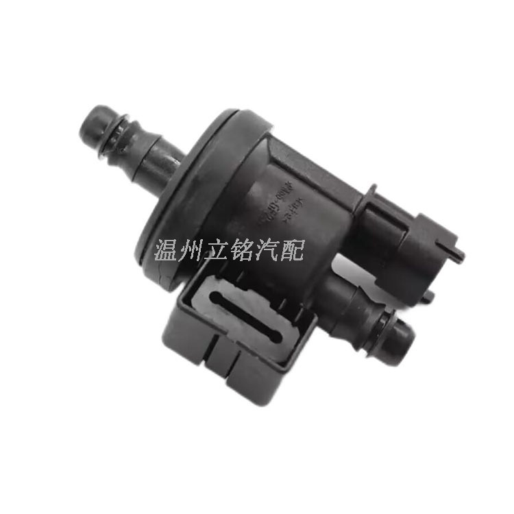 Carbon Canister Solenoid Valve 0280142517    C1B1-9G866-Aa Is Suitable for Ford Focus