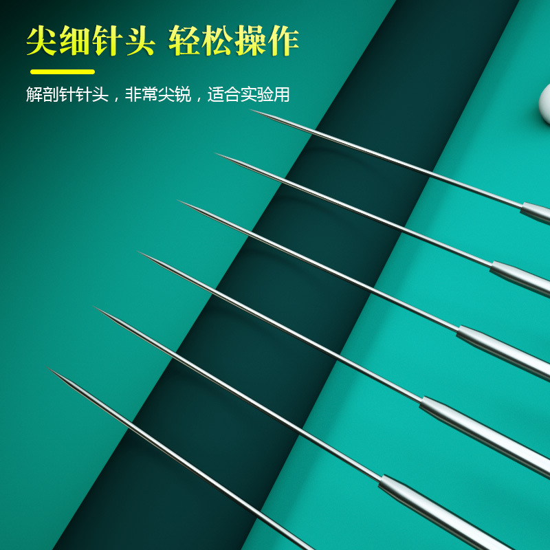 Factory Biological Anatomy Needle Insect Anatomy Stainless Steel Anatomy Needle Biological Experimenter Specimen Production Real Probe