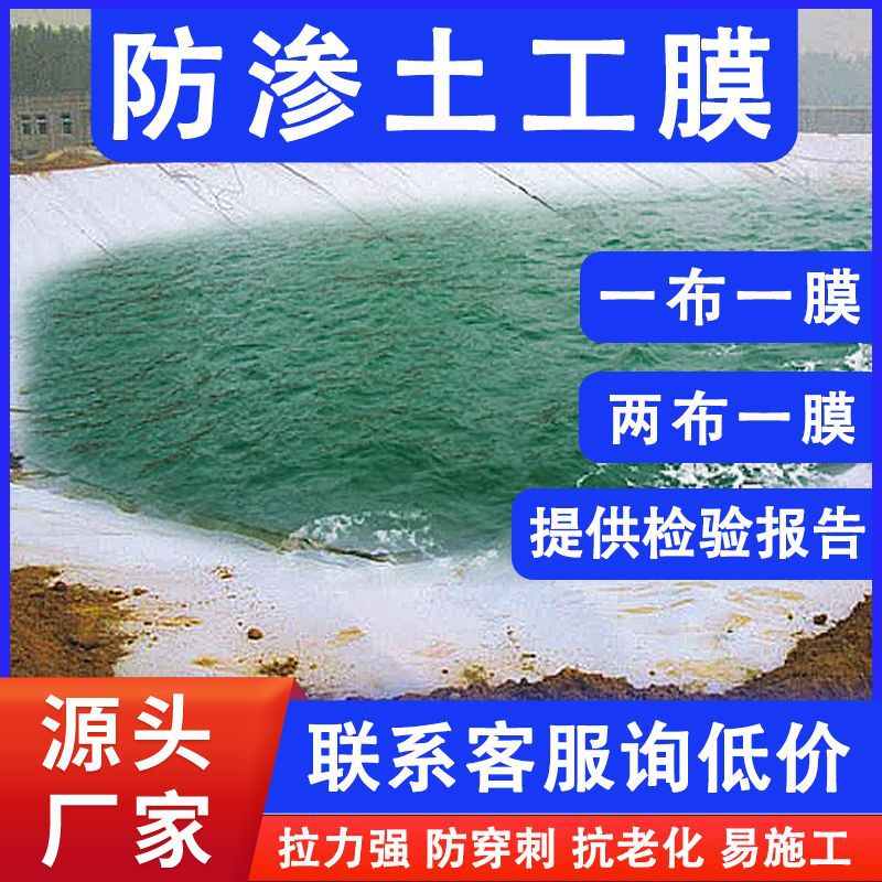 Collection of Geomembrane Waterproof Slope Protection 1424 Anti-Seepage Mermaid Pool Special Pe Moisture-Proof Reservoir Composite Hd Two