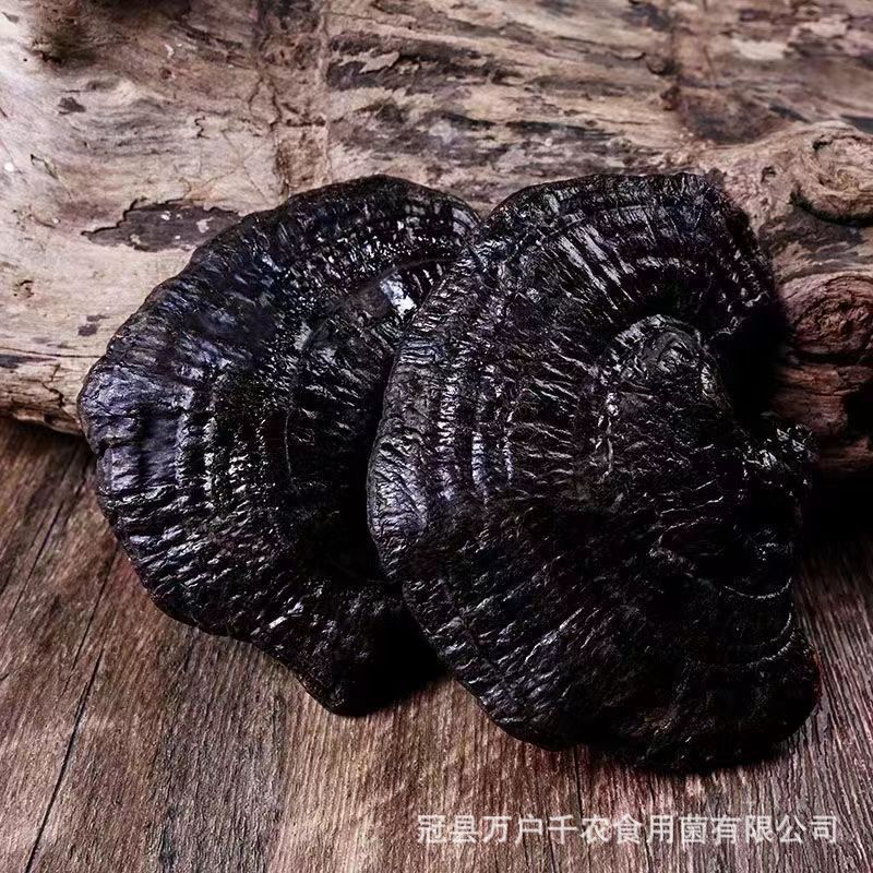 Wholesale black ganoderma lucidum whole not bitter gift box large base straight hair without handle can be sliced recruitment agent soup