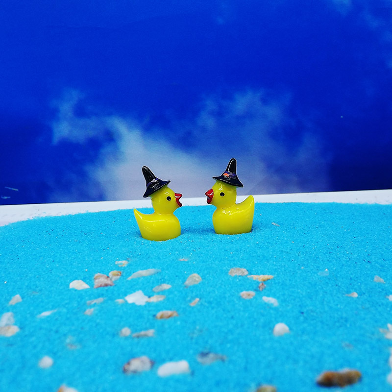 Colorful Wansheng witch hat duck doll pendant Moss micro landscape creative decoration jewelry resin crafts