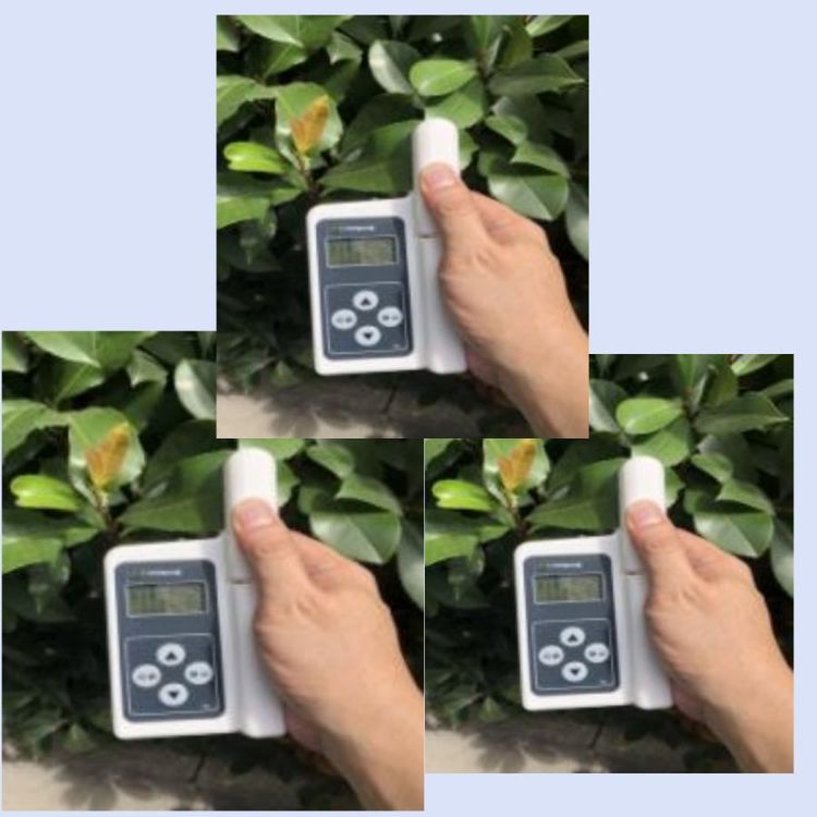 Plant chlorophyll content detector/leaf temperature detector model M398800