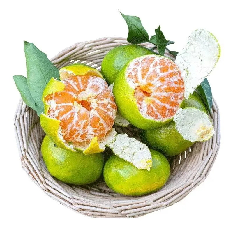 Зеленокожие мандарины из Хубэя и Юннаня в сезоне, целые мандарины с бесплатной доставкой, свежие мандарины доступны для дропшиппинга