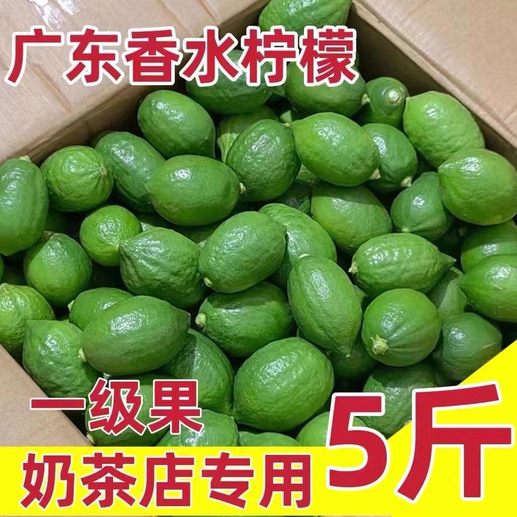 [Freshly Picked from the Orchard] Authentic Guangdong Seedless Perfume Lemon First-Grade Fruit Hand-Made Lemon Tea Milk Tea Shop Commercial
