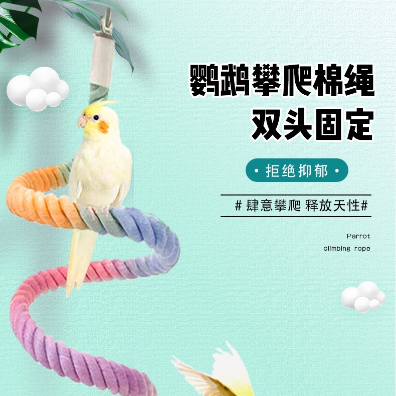 Качели для попугаев с цветным канатом, фиксированная форма, доставка по всей сети