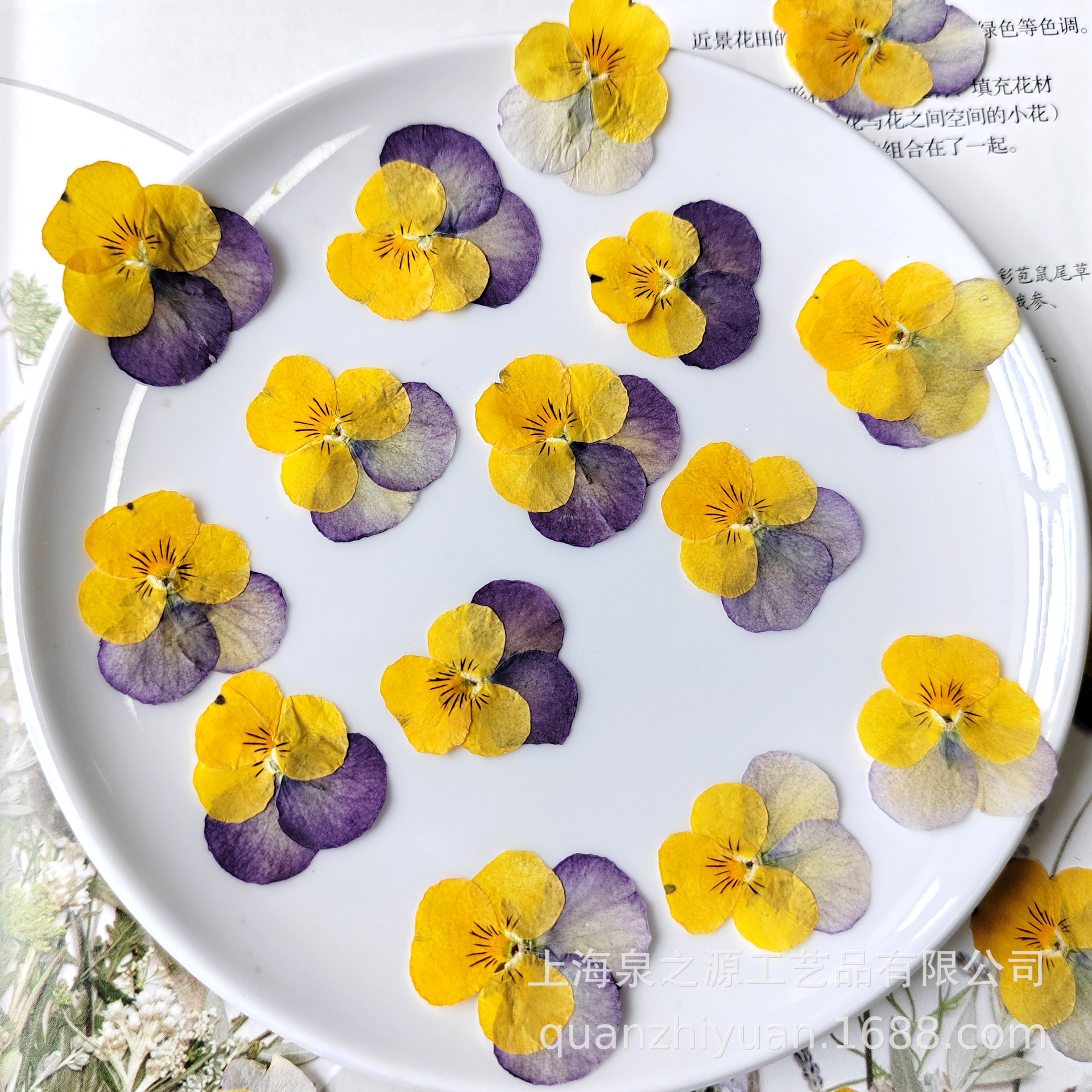 Viola Odorata Embossed Dried Flower Specimen DIY Bookmark Greeting Card Mobile Phone Case Glue Material Fan Table Lamp Sticker