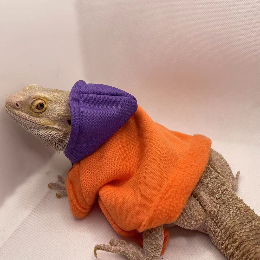 Lizard Clothes Hoodie T-shirt Climbing Pet Going Out Transformation Clothes Walking Lizard Small Pet Clothes Supplies
