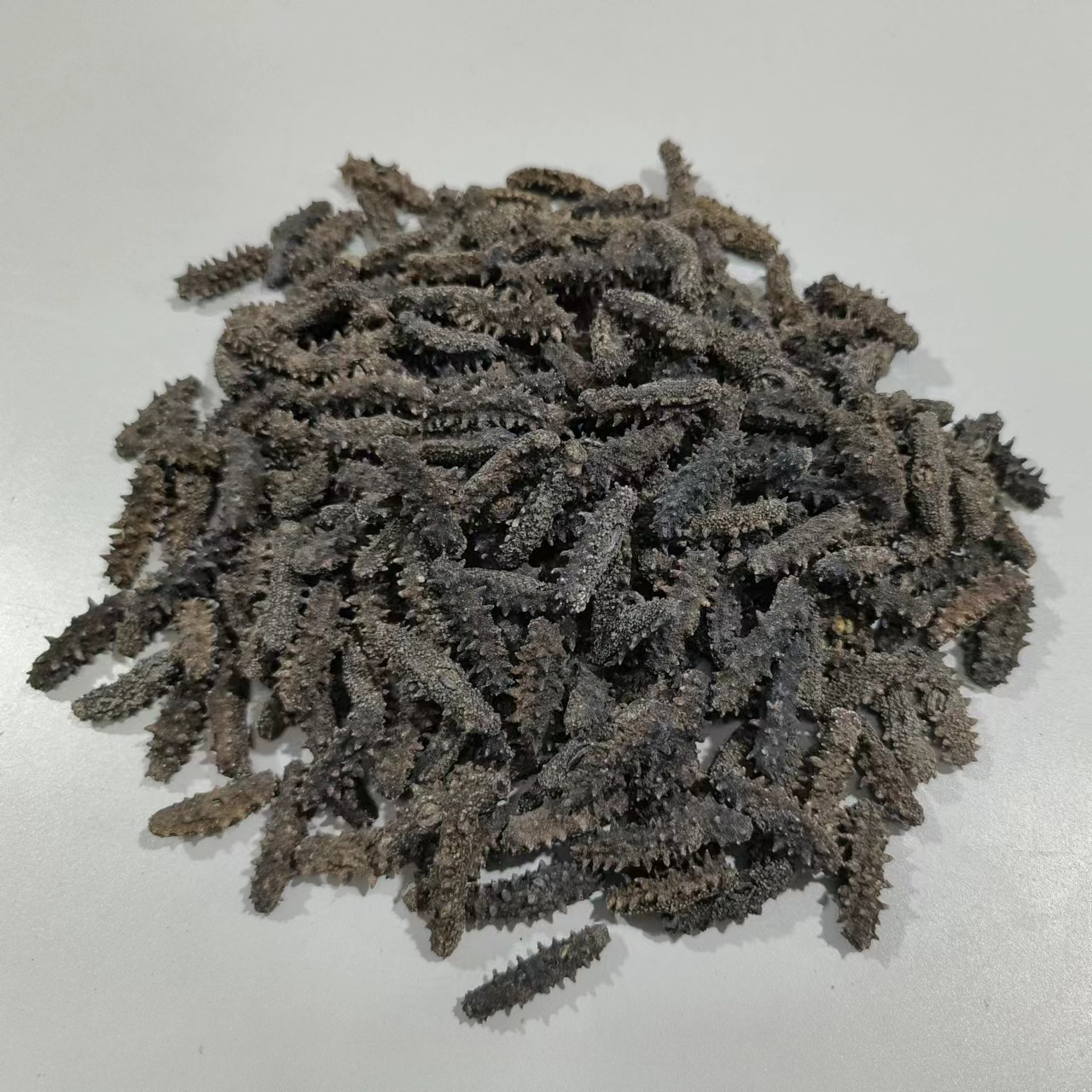 Source Manufacturer Wholesale Light Dried Sea Cucumber Fresh Sea Cucumber Liao Sea Cucumber High Sea Cucumber Flesh Plump Light Dried Small Sea Cucumber Dry Goods