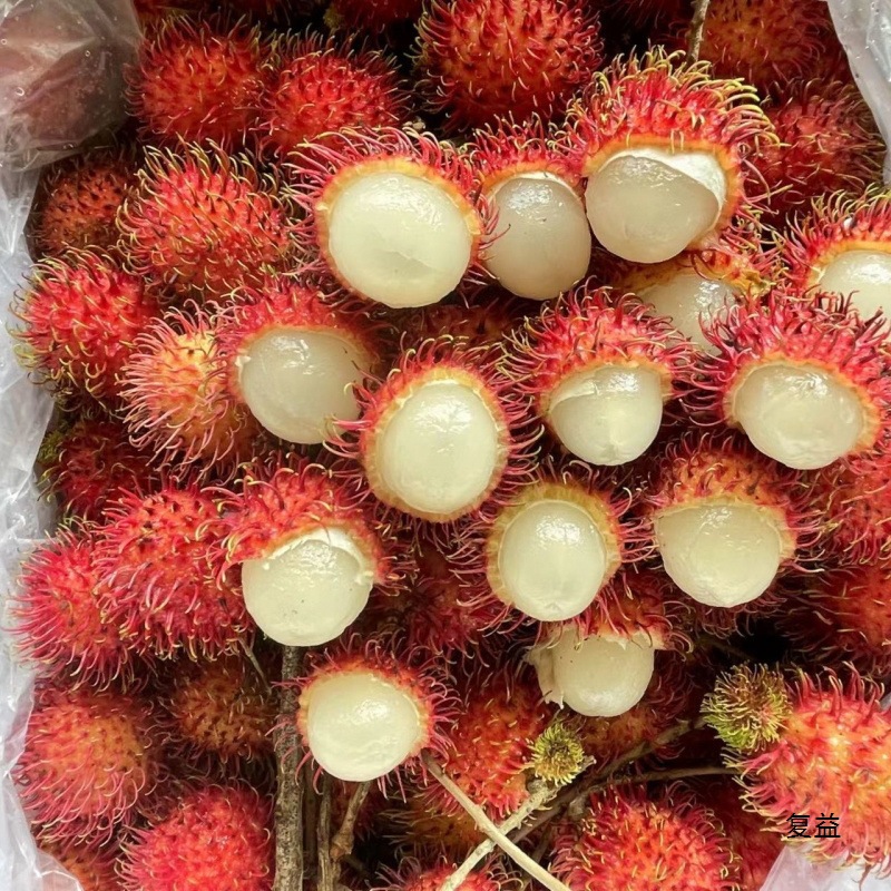 Rambutan Fresh Fruit, Lychee, Tropical Fresh Fruit, Guaranteed Compensation for Bad Fruits Picked Now