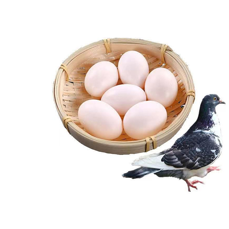 Su Shuangkang ® Pigeon Eggs Drop Shipping Farm Free Range White Pigeon Eggs Miscellaneous Grains First Birth Grass Pigeon Eggs Wholesale Fresh
