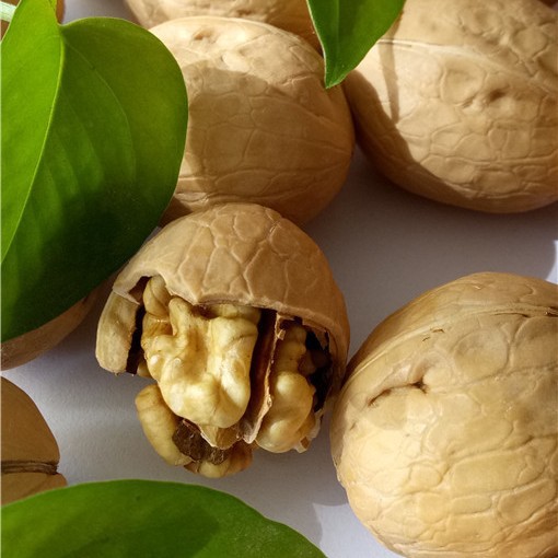Duoduo Community Group Buying E-Commerce Best-Selling Xinjiang 185 Walnuts, Shipped from 33 Farms, Happiness Walnuts