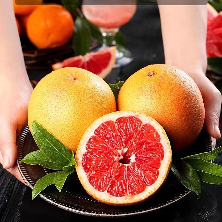 South African Grapefruit Sour and Sweet Red Meat Fruit Fresh 2 4 Pack Grapefruit Dropshipping
