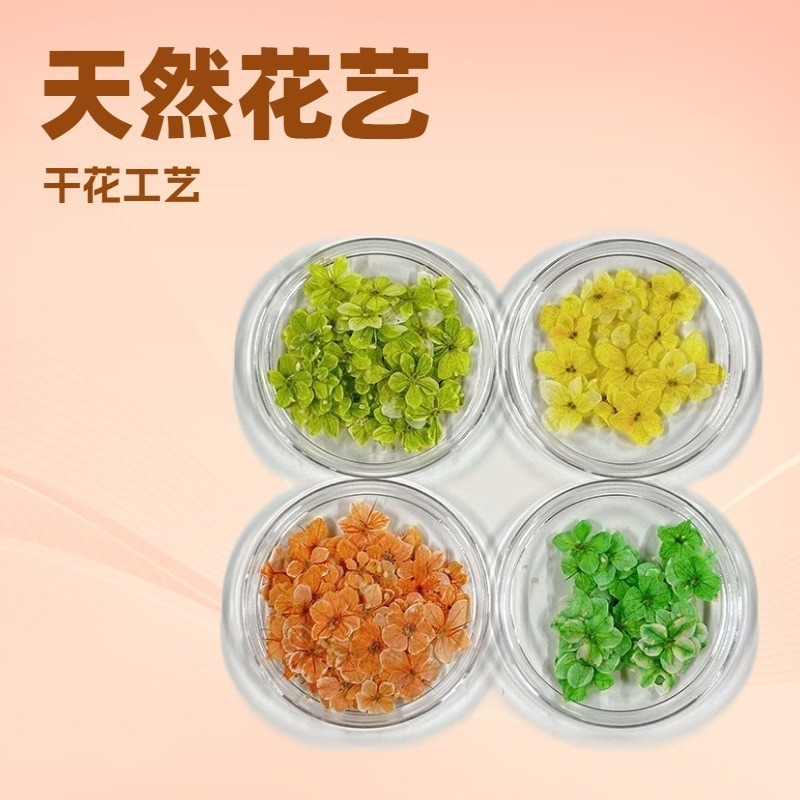 Japanese ins style mini nail art dried flower natural bet flower dried flower factory wholesale wear real flower