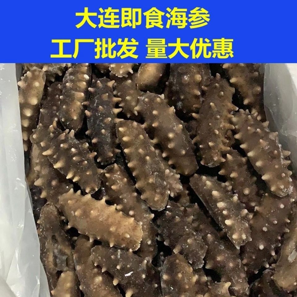 10-year-old ginseng king high quality deep-sea ready-to-eat sea cucumber independent packaging single Dalian ready-to-eat sea cucumber Liaoshen postage