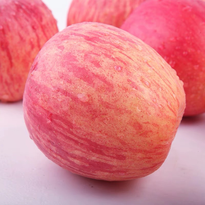All year round supply Shaanxi Luochuan red fuji apple fresh seasonal crisp sweet fruit 5/10kg a wholesale postage