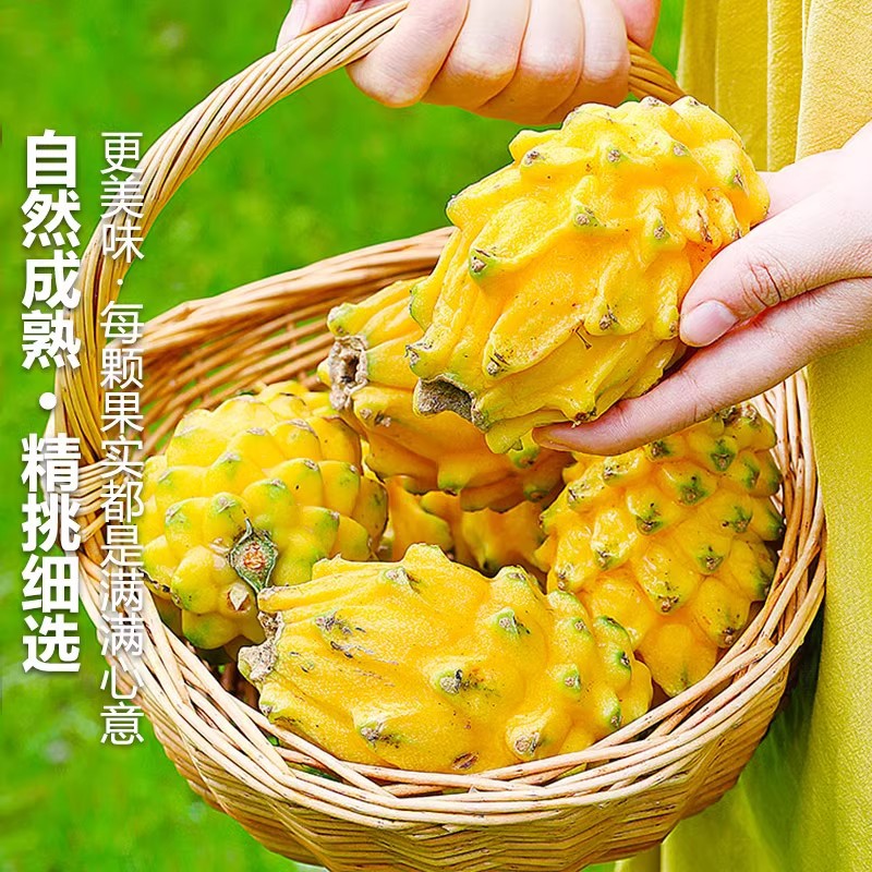 Sf 2.5kg Gift Box Bird's Nest Fruit Fresh Dragon Fruit White Heart Unicorn Fruit Seasonal Fruit for Pregnant Women Whole Box Free Shipping