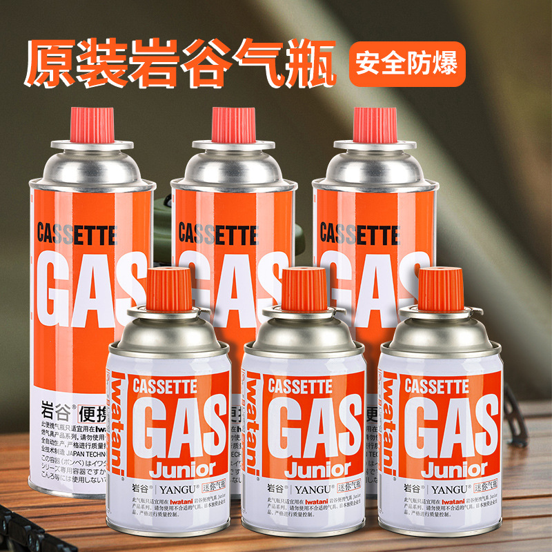 Портативная газовая плита Rock Valley с картриджем 250г для кемпинга